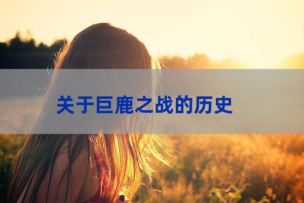 关于巨鹿之战的历史（巨鹿之战的历史人物）