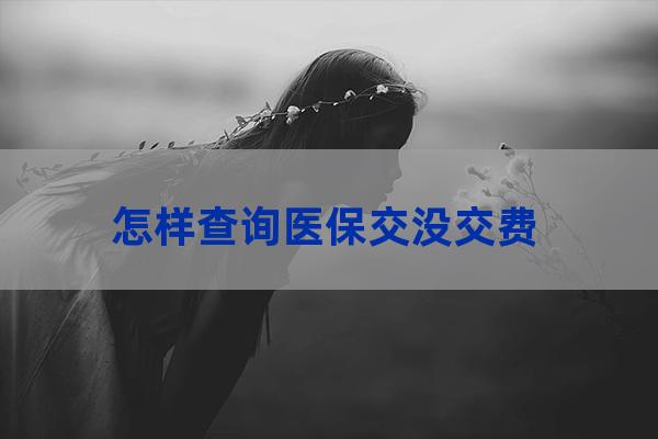 怎样查询医保交没交费（怎么查询医保交没交上）